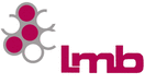 Lmb Technologie GmbH logo