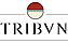 TRIBVN