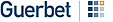 Guerbet Group