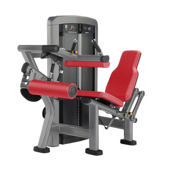 Station De Musculation Curl Des Jambes INSIGNIA Life Fitness