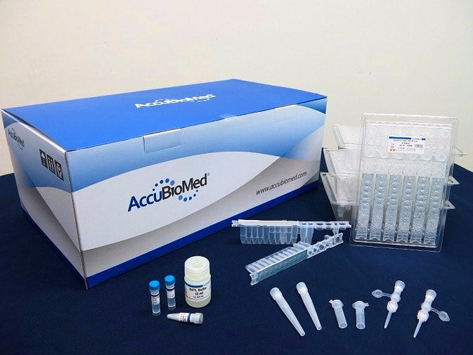 Kit de réactifs pour purification d ADN AccuPure Cell Blood DNA Mini