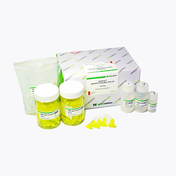 Kit De R Actifs Pour Purification D Adn Wizprep Wizbiosolutions