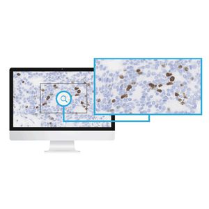 module logiciel d'analyse d'image / pour laboratoire d'histopathologie / d'imagerie cellulaire
