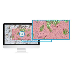 module logiciel d'analyse d'image / de mesure / pour laboratoire d'histopathologie / pour immunohistochimie