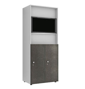armoire de rangement / pour télévision / d'hôpital / 2 portes