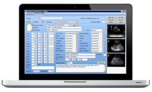 logiciel de gestion de données patient / de reporting / avec système de suivi / gynécologie