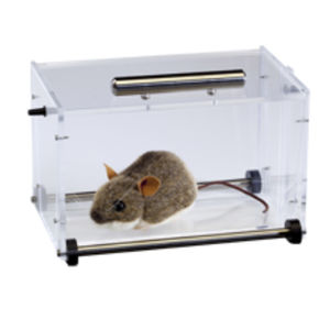 chambre d'induction d'anesthésie vétérinaire / pour souris