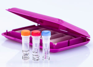 Kit De Test Pour Adn Arn Virotype Indical Bioscience Pour Caprins