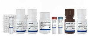 Kit De Test Pour La Recherche M Dicale Rbd Nanjing Vazyme Medical