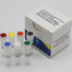 Kit de réactifs en solution COMBO Guilin Yourui Biotechnology Co