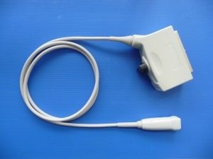 sonde d'échographie phased array / abdominale / cardiaque