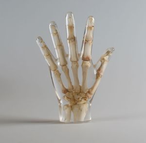 fantôme de test pour radiographie / main