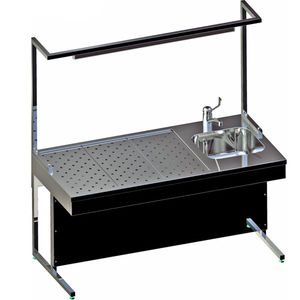station de travail de laboratoire de macroscopie / avec évier / avec ventilation descendante