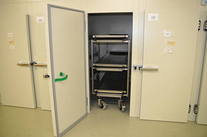 cellule réfrigérante mortuaire pour cercueils / corps multiples / à chargement frontal / avec chariot de chargement