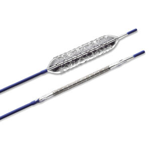 stent biliaire