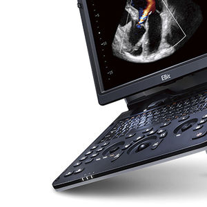 échographe portable / pour échographie cardiovasculaire / doppler couleur / console intégrée