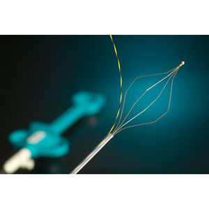 panier endoscopique pour extraction de calculs biliaires / droit