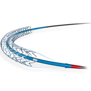 stent coronaire / en platine chrome / à élution de médicaments