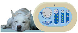 électrostimulateur vétérinaire / pour canins / portative
