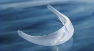 implant esthétique mandibulaire / anatomique / silicone