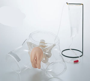 simulateur de cathétérisme urinaire / féminin / pelvis