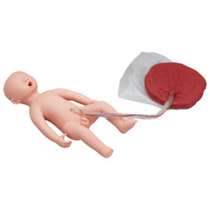 mannequin de formation de soins / de foetus