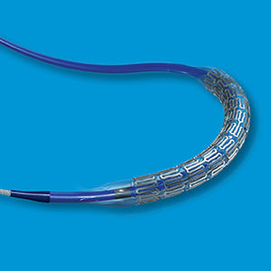 stent artère rénale / en cobalt chrome