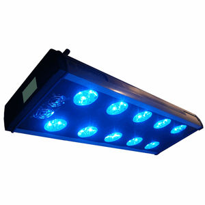 lampe de photothérapie néonatale / sur roulettes / LED bleues