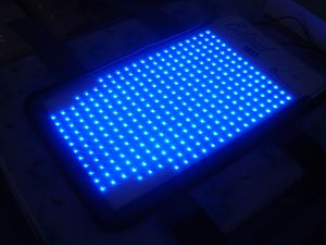 lampe de photothérapie néonatale / de table / LED bleues