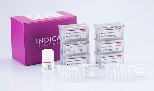 Kit De R Actifs Billes Magn Tiques Indimag Indical Bioscience