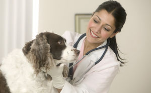 Médecine vétérinaire