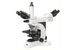 Microscopes d'enseignement