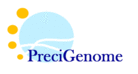 PreciGenome LLC - logo