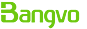 Shenzhen Bangvo Technology Co., Ltd
