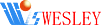 Chengdu Wesley Bioscience Technology Co.,Ltd