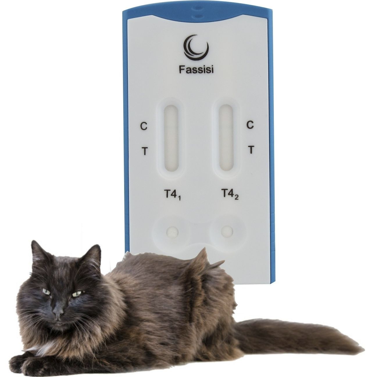 Test Rapide De Maladies Thyroidiennes T4 Fassisi Gesellschaft Fur Veterinardiagnostik Und Umweltanalysen Mbh Pour Felins Serum Plasma