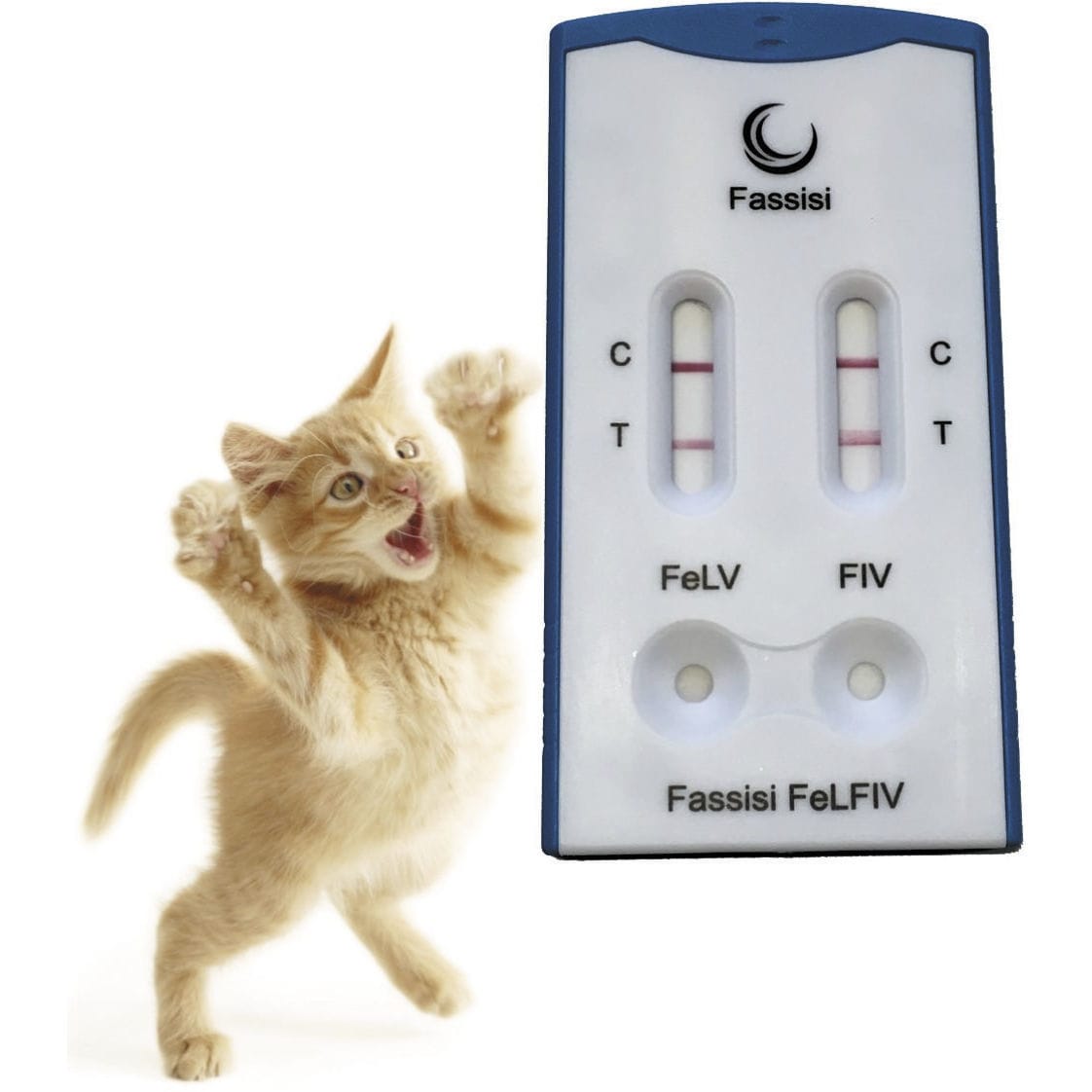 test-rapide-de-leucose-f-line-felfiv-fassisi-gesellschaft-f-r