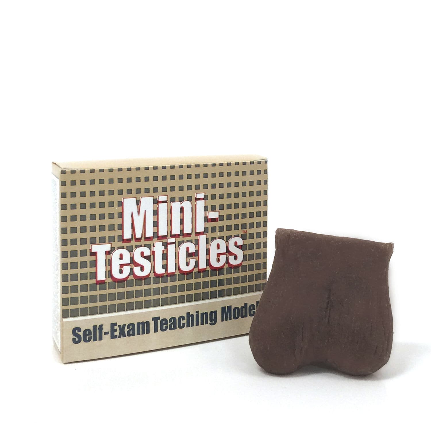Simulateur de palpation testiculaire 26936 Health Edco & Childbirth Graphics testicule
