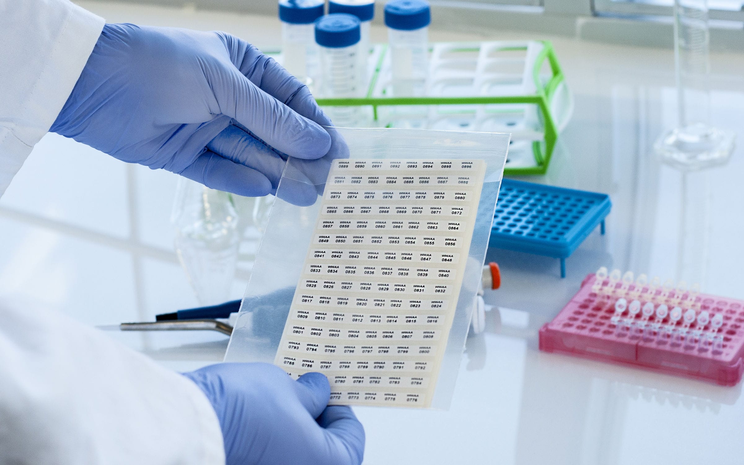 Étiquette pour tubes PCR FJT269 GA International cryogénique