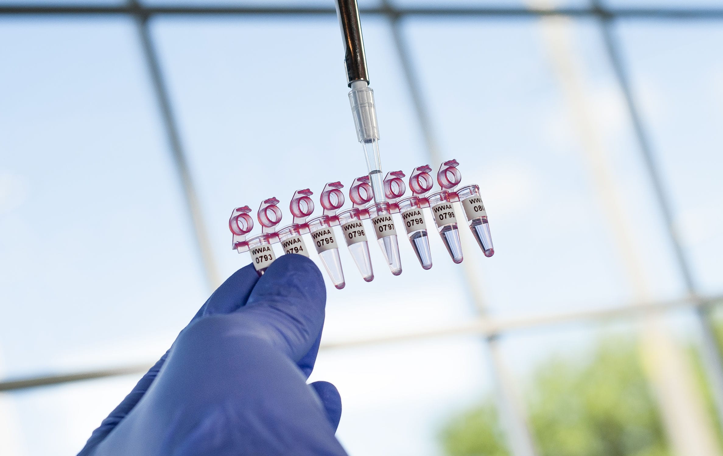 Étiquette pour tubes PCR FJT269 GA International cryogénique