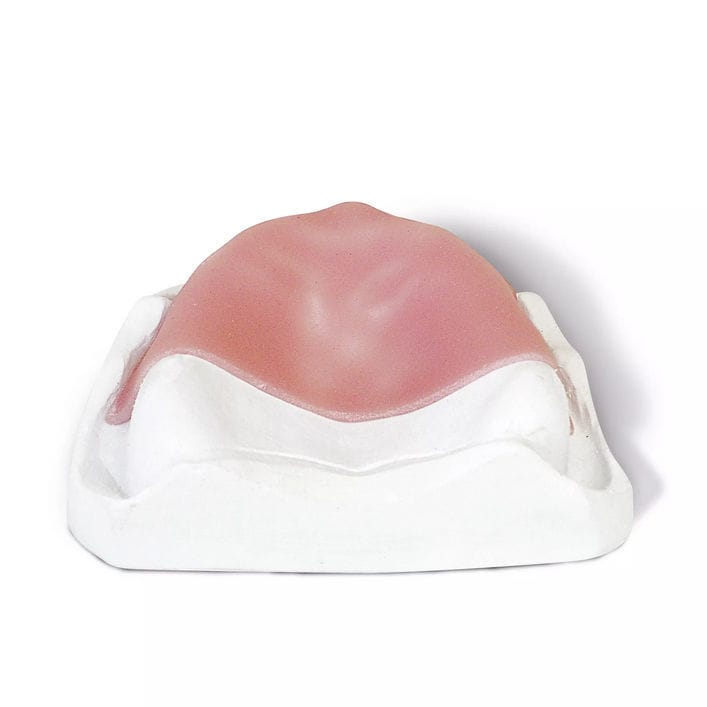 500g De Résine Acrylique Dentaire Souple Couleur Rose B - Pour Prothèses, Réparations, Laboratoires Dentaires