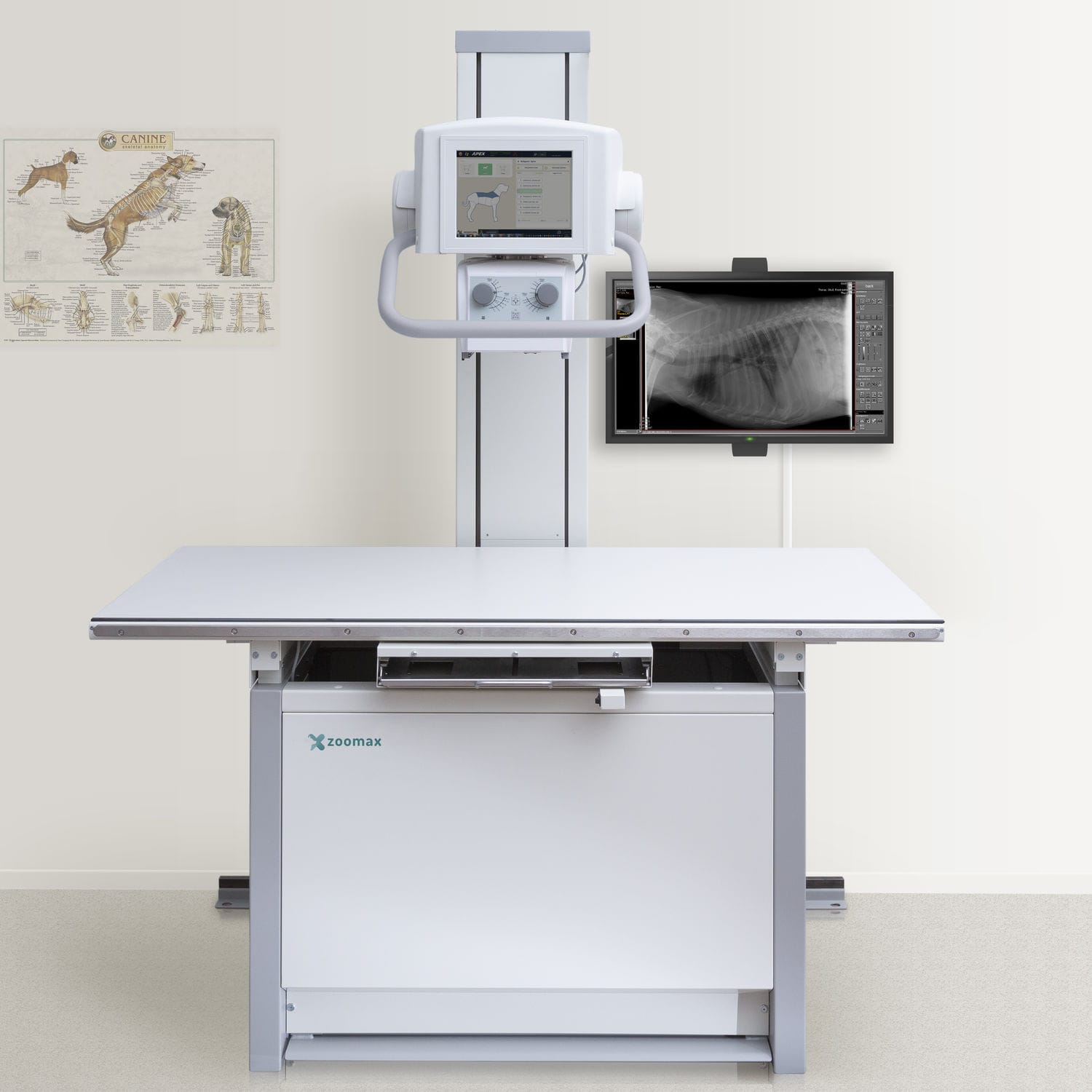 Système de radiographie vétérinaire Zoomax White CONTROLX Medical