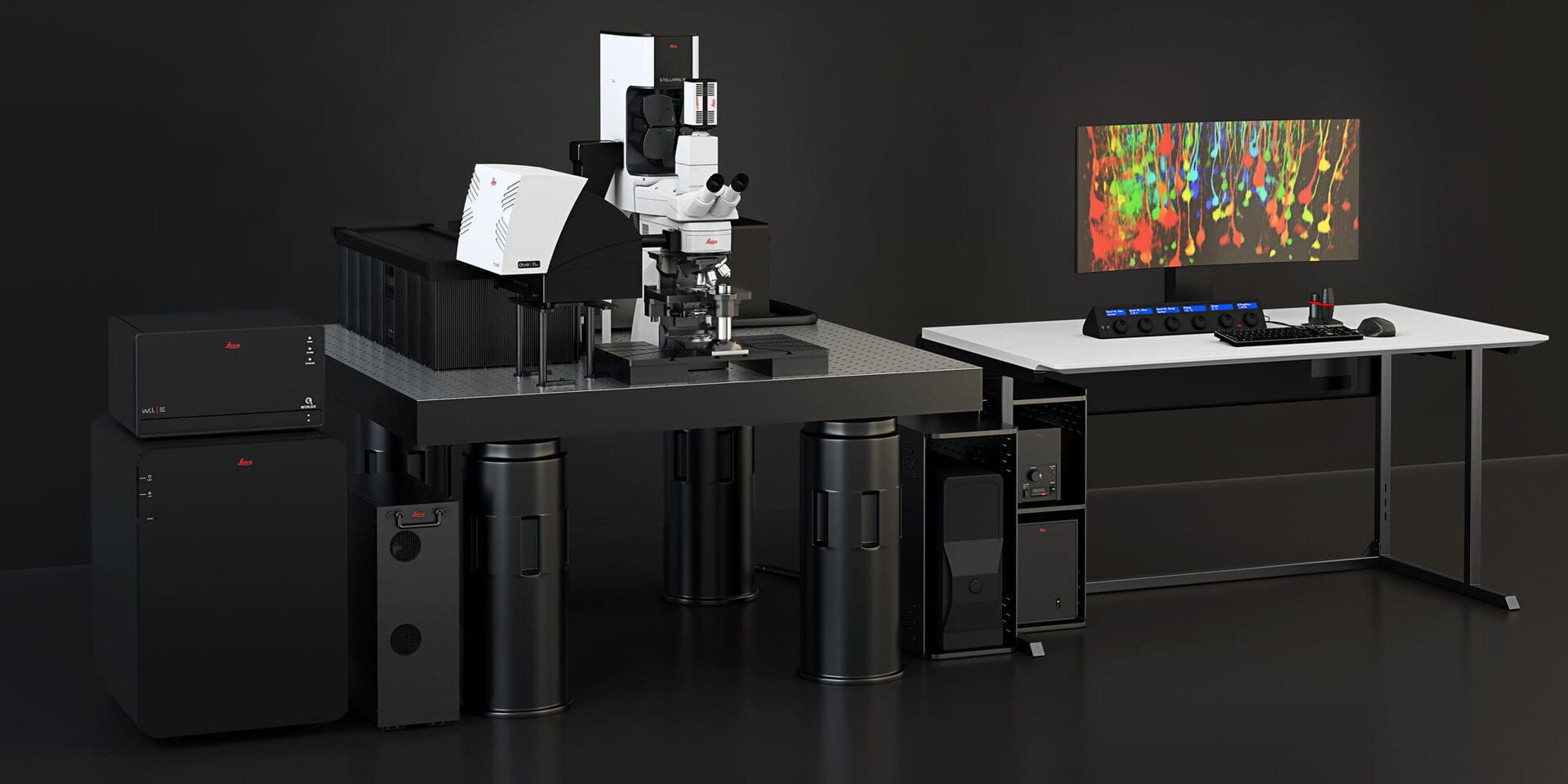 Microscope Multiphotonique Stellaris 8 Dive Leica Microsystems Optique Biologique Confocal 8019