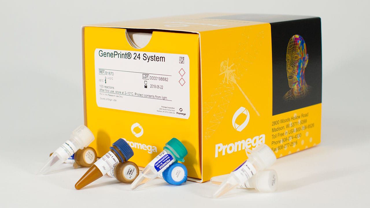 Kit de réactifs en solution GenePrint® 24 Promega France colorant