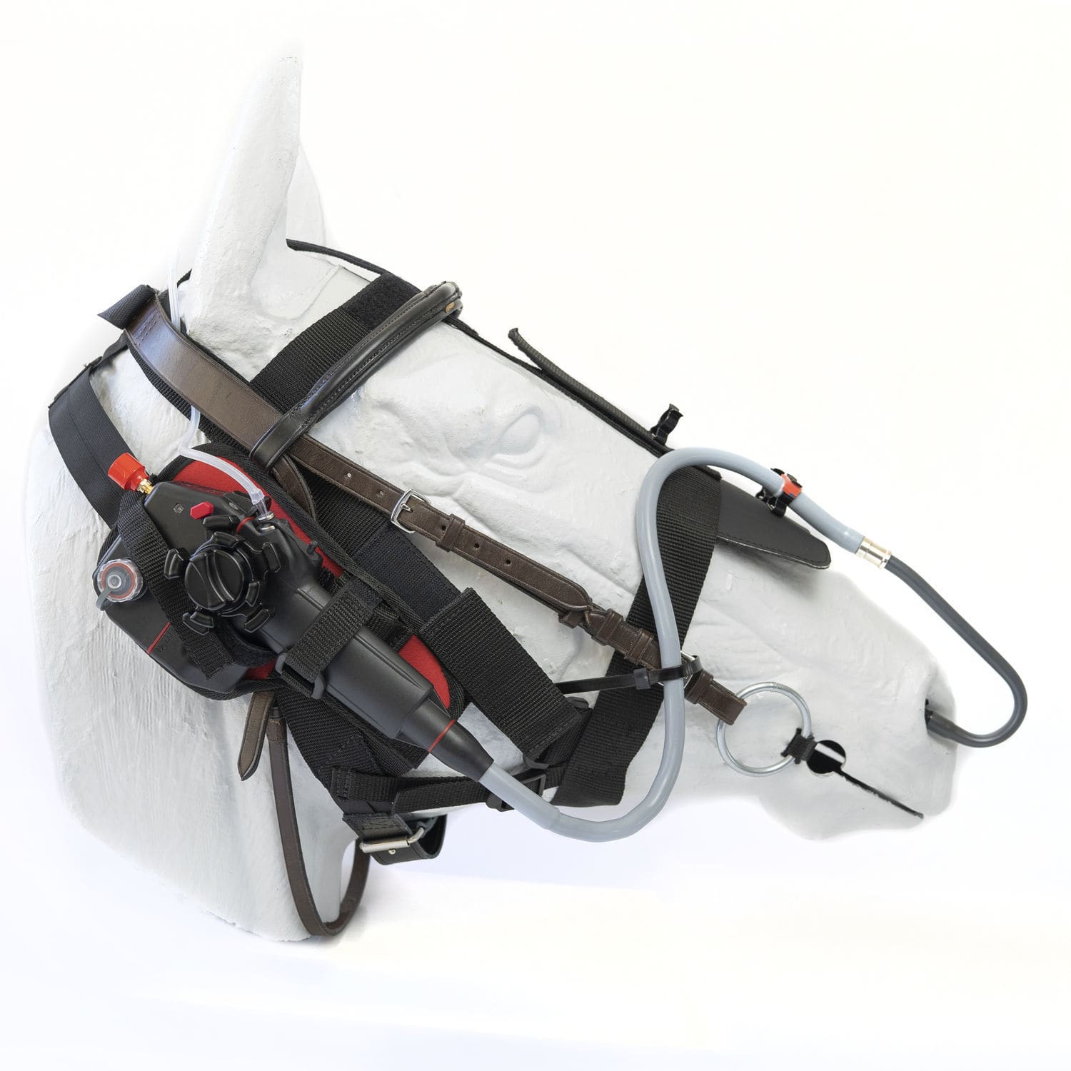 Laryngoscope vétérinaire ETL486SET Dr. Fritz Endoscopes pour