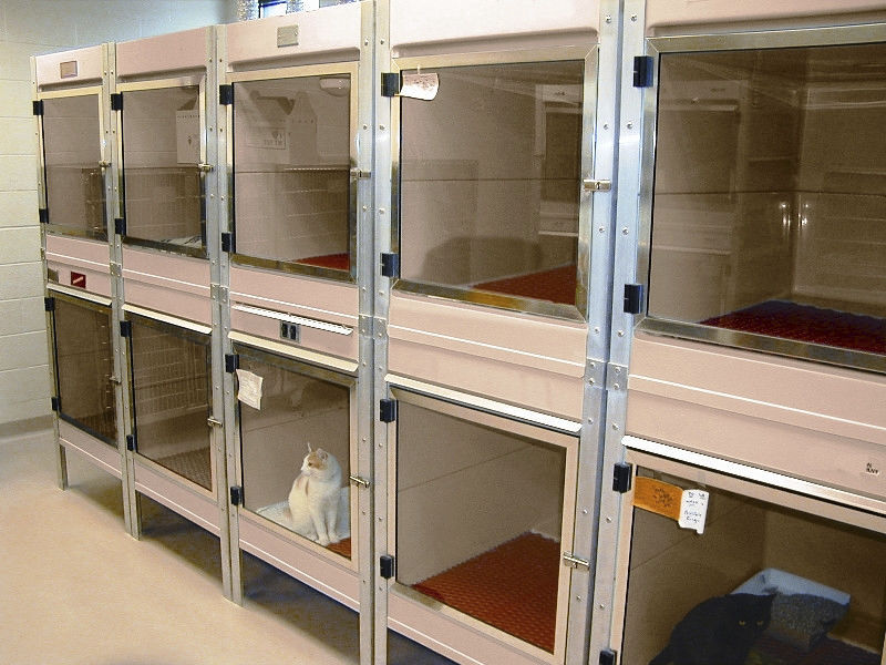 Cage vétérinaire d'isolation ISOCARE™ Mason pour chats / 2