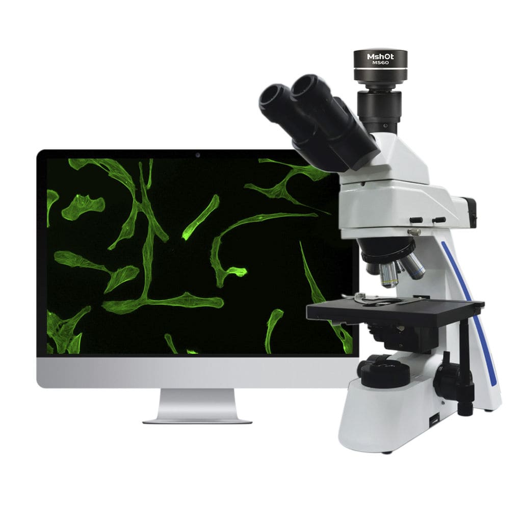Microscope à fluorescence MF31 LED Microshot Technology Limited