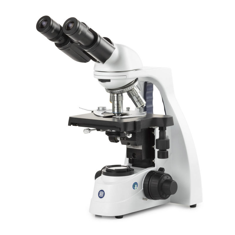 Microscope à Contraste De Phase Bscope Euromex Numérique De Laboratoire Médical