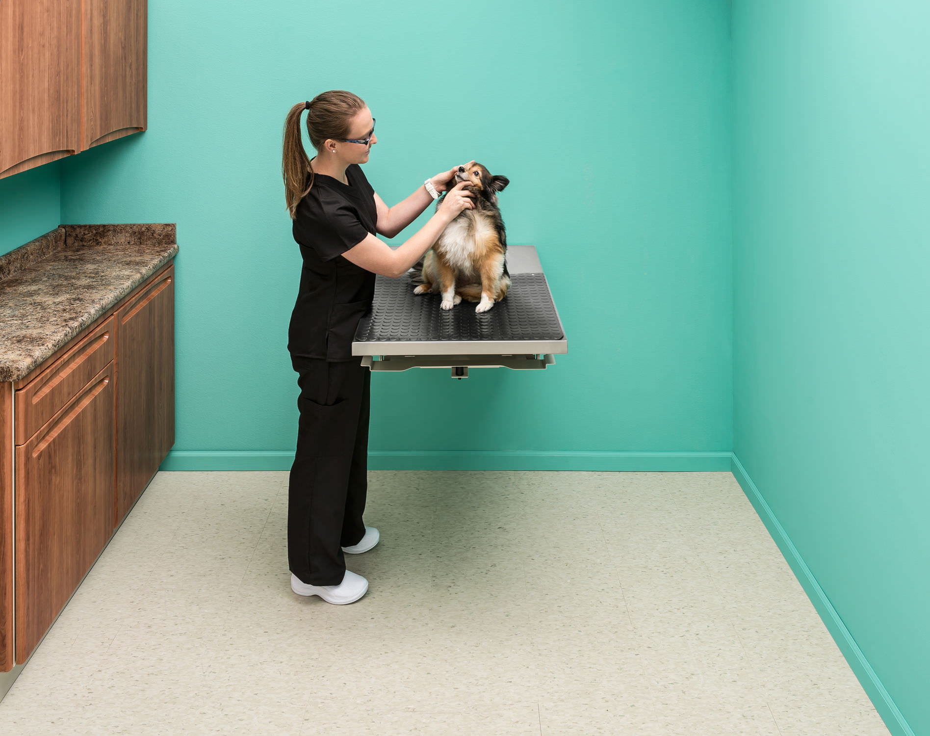 Table d'examen vétérinaire Midmark Animal Health pneumatique / à