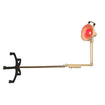 Lampe de photothérapie traitement des douleurs...